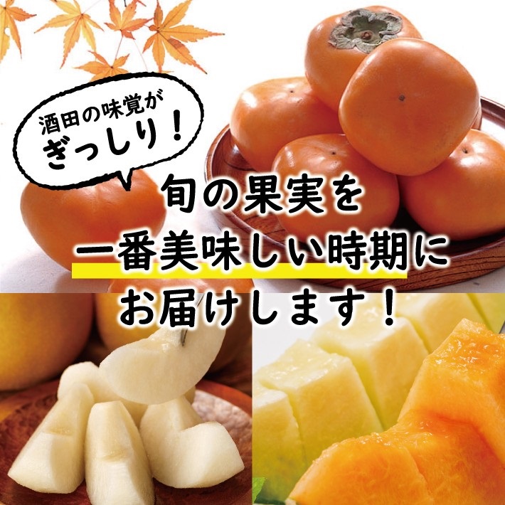 SE0316　【3回定期便】酒田の季節のフルーツ頒布会 Ｃコース2025 (大玉メロン、刈屋梨、庄内柿)