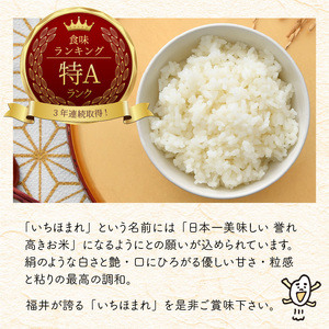 【令和7年産】定期便 ≪2ヶ月連続お届け≫ 福井県のブランド米 いちほまれ 無洗米 2kg × 2回 計4kg 【 人気 品種 ブランド米 特A 】 [A-6116]