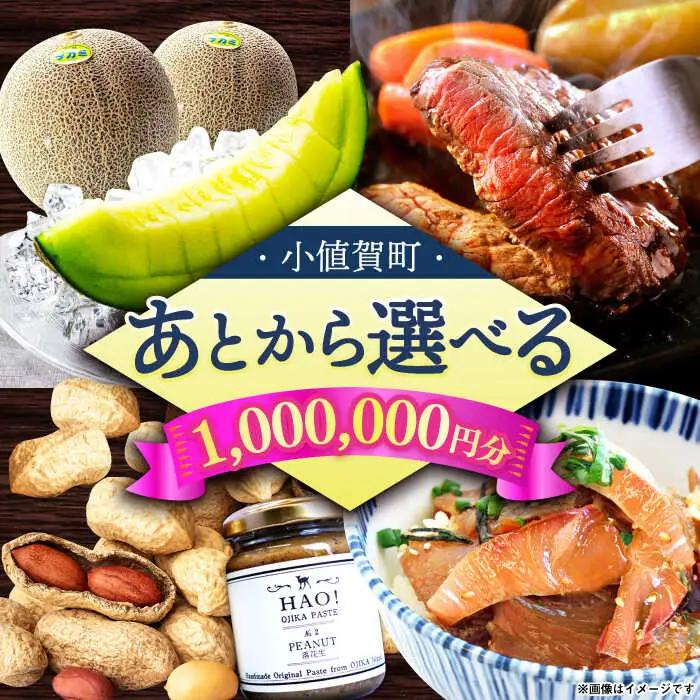 【あとから選べる】町 ふるさとギフト 100万円分 先に寄附 100万円 長崎県  [DYZ015]