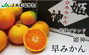 【ふるさと納税】JAむなかたブランド姫神「早味かん」3kg【JAほたるの里】_HA0886　送料無料糖度・爽やかさ・ジューシー 三女神の姫神 ブランド姫神（ひめのかみ）
