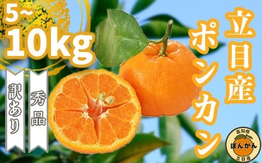 
                  【数量限定】 訳あり ポンカン 5kg 10kg | ぽんかん 訳あり 家庭用 秀品 贈答 8000円 ～ 立目産 おすすめ 産地直送 果物 フルーツ ふるさと納税みかん 柑橘 くだもの ミカン 果肉 蜜柑 ふるさと納税 みかん ふるさと納税 果物 ふるさと納税 フルーツ 期間限定 国産 産地直送 果物類 果物の詰合せ みかん・柑橘類 みかん 高知県 須崎市 TMS001-all
                