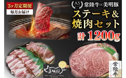 
                  【3ヶ月定期便】【常陸牛 A5ランク・美明豚ステーキ焼肉セット】常陸牛サーロイン200ｇ＋美明豚200ｇ（ロース100ｇ・ばら100ｇ）冷凍 国産牛 和牛 牛肉 豚肉 ブランド豚 食べ比べ お取り寄せ 肉の加治 茨城県 水戸市（EK-34_1）
                