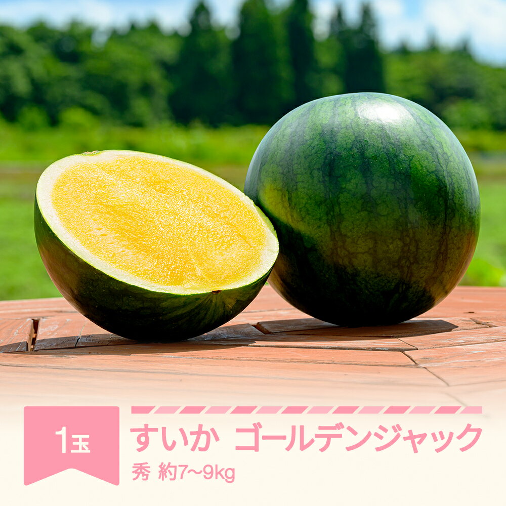 【ふるさと納税】【先行予約】 すいか ゴールデンジャック 1玉 7kg~9kg 2026年産 令和8年産 送料無料 ※沖縄・離島への配送不可 no-sugjc1