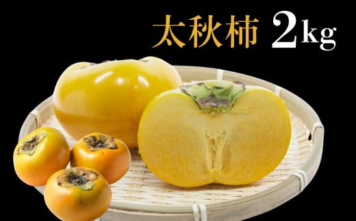 【先行予約】《早い甘柿》大野農園 太秋柿 約2kg (6～8玉入) 10月上旬～10月中旬発送予定｜ かき カキ 太秋 たいしゅう フルーツ 果物 くだもの 贈答 ギフト 岐阜県 本巣市[mt1685] 10000円