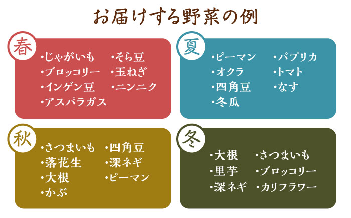 何が届くかはお楽しみ 椿やさいの野菜セット(8-10品)詰合せ 五島市/いきいきファーム [PCY001]