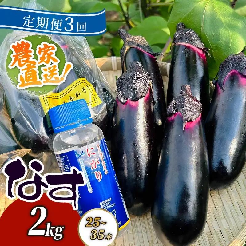 【定期便3回発送】農家直送　土佐の美味茄子の新鮮ナス　２kg　（室戸海洋深層水にがり使用） 野菜 なす ナス 常温 小袋 国産 夏野菜 茄子 小分け 旬 21000円 高知 頒布会