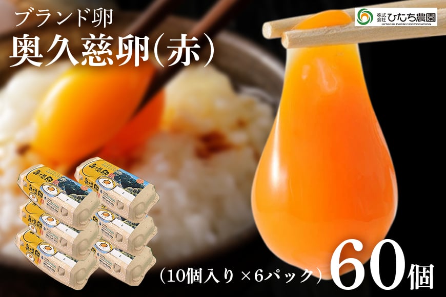 
                  三ツ星レストランや一流料理人が愛するブランド卵『奥久慈卵』 赤 60個 たまご タマゴ ミネラル 茨城県 ho1315
                