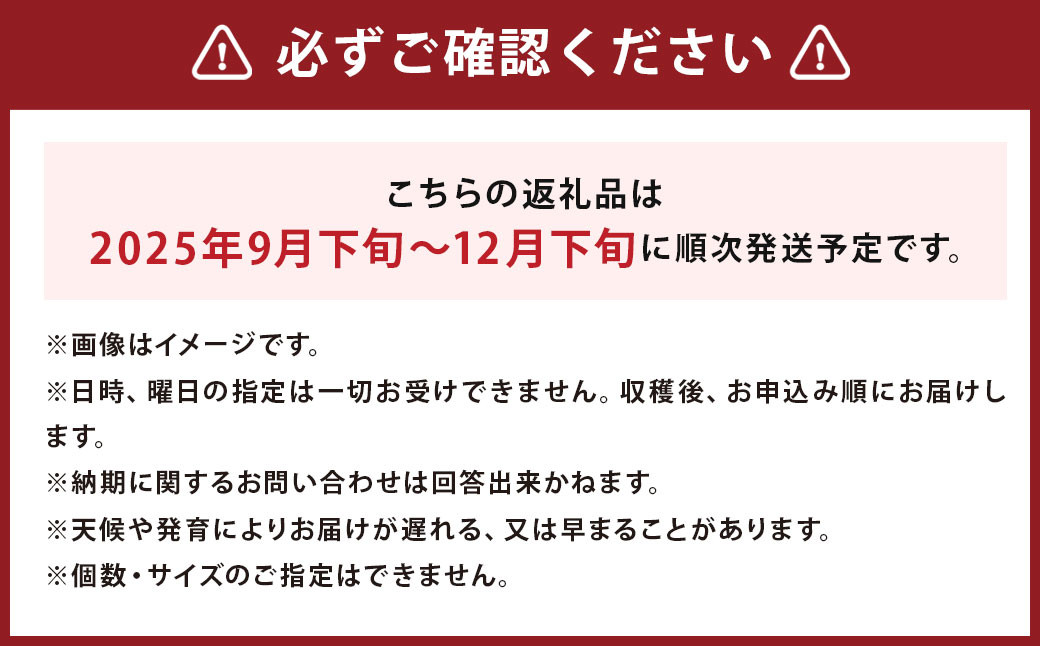 じゃがいも 男爵 キタアカリ  Lサイズ 各約10kg×1箱 計約20kg （JA）
