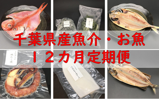 
【定期便】千葉県産魚介・お魚12カ月定期便 mi0022-0019
