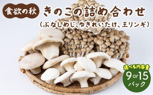 
                  食欲の秋！きのこの詰め合わせ 選べるパック数(各3～5パック)AT16/AT17
                