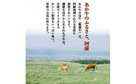 FKK19-125_あか牛切り落とし(1200g) 熊本県 嘉島町