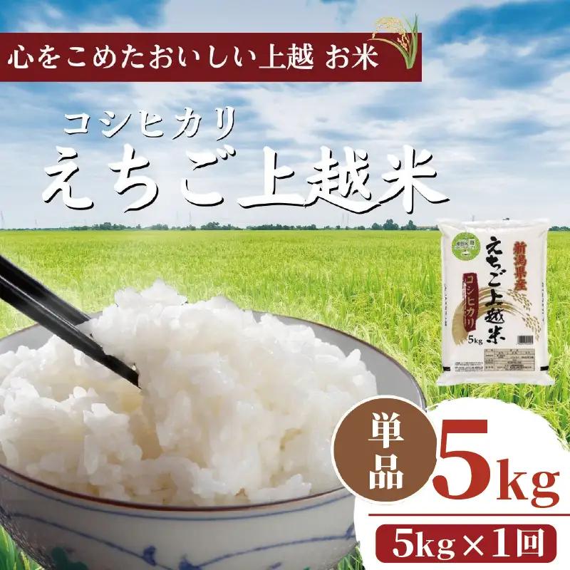 コシヒカリ5㎏ 新潟県 上越産 米 コシヒカリ 令和7年産