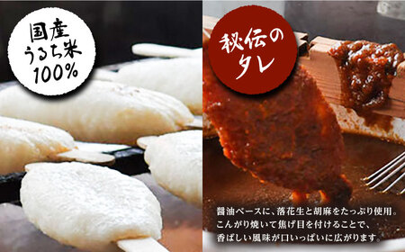 手づくり五平餅（タレ付）10本箱入 / 恵那市 / アイコウフーズ [AUAA001]