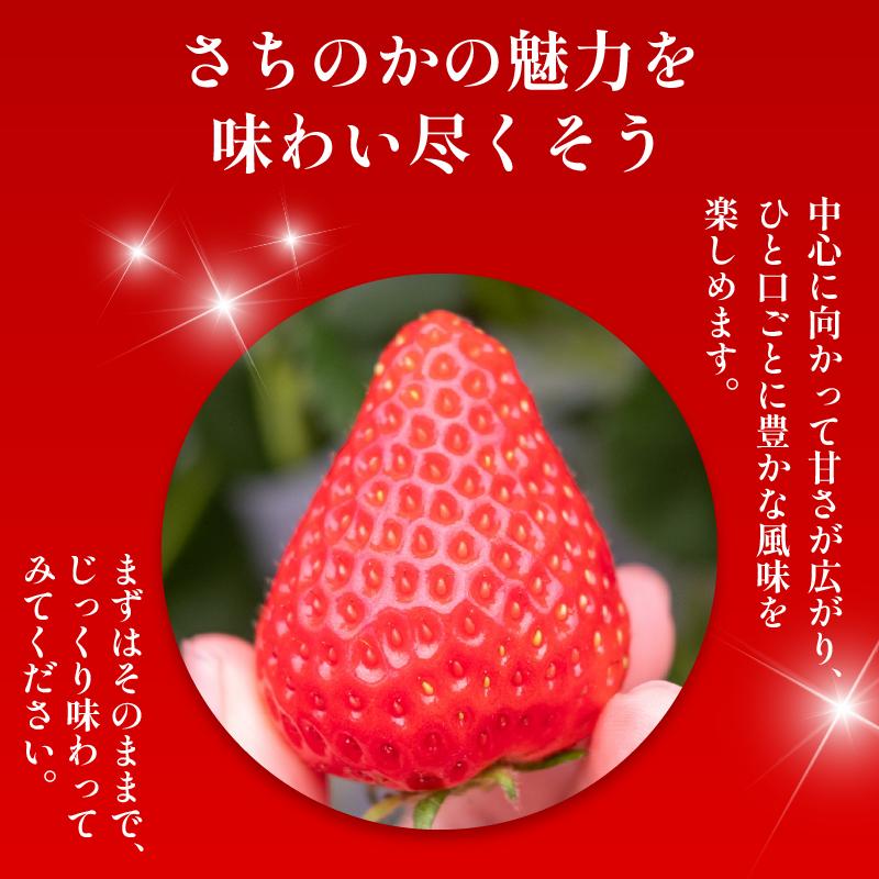 いちご 2kg さちのか 苺 イチゴ ストロベリー 数量限定 徳島県産 ichigo strawberry itigo 1月下旬より順次出荷 徳島県 