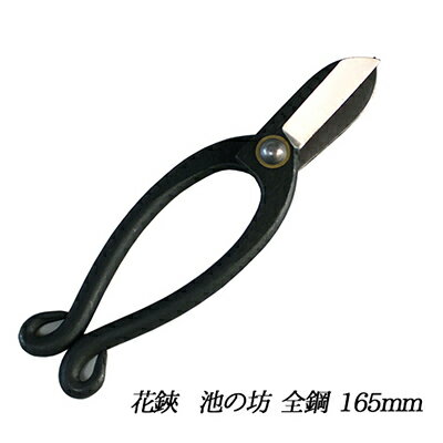 【ふるさと納税】カネナカ 池の坊 花鋏 5.5寸（165mm）全鋼 生け花 生花 花切りバサミ ハサミ 民芸品 工芸品 伝統技術 刃物 鋼付 切りやすい