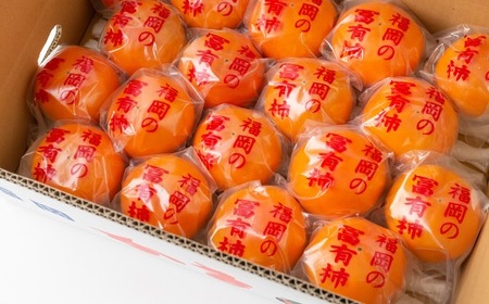 石井農園 冷蔵富有柿 15玉から20玉 2024年12月中旬から2025年1月下旬 出荷予定