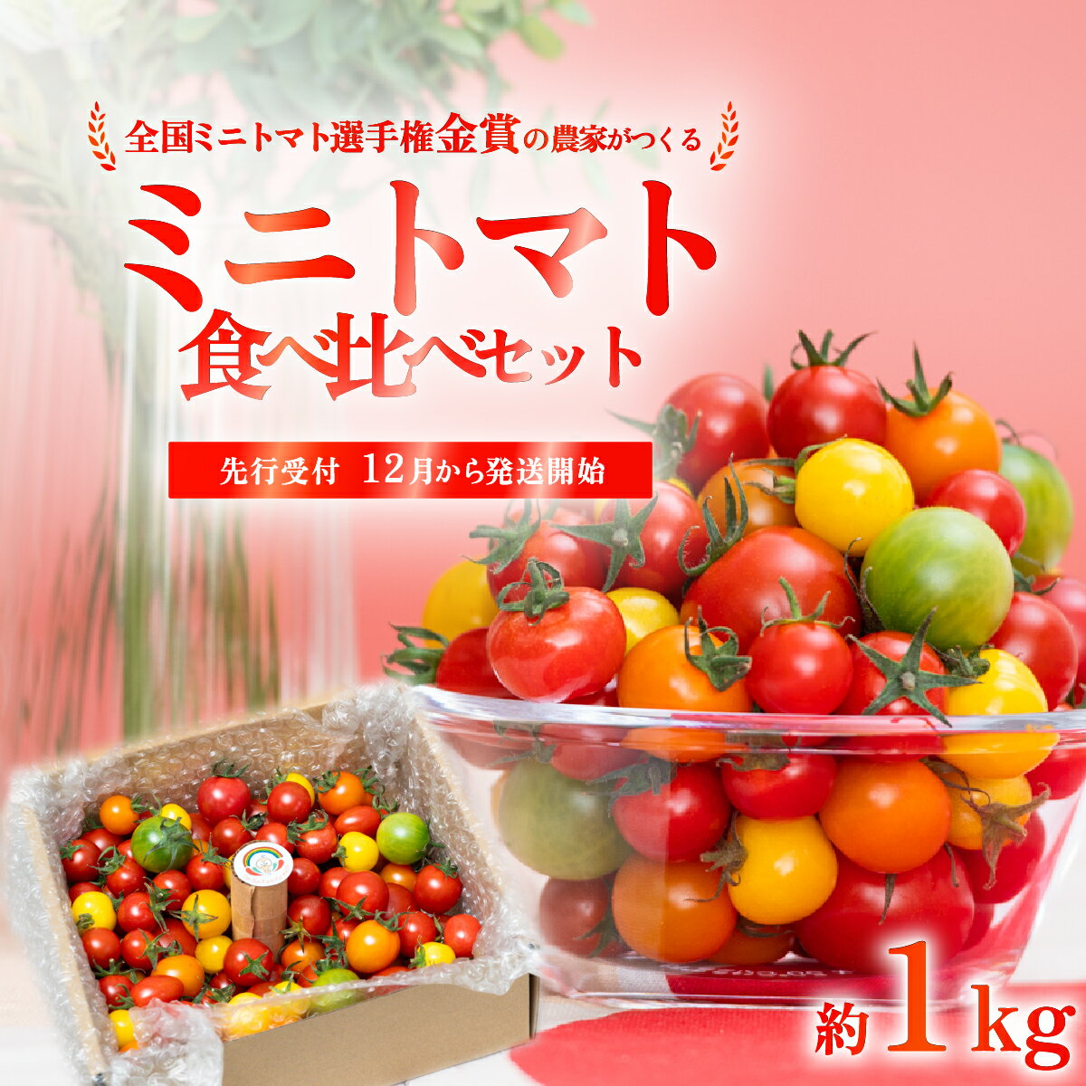 【ふるさと納税】ミニトマト 食べ比べセット 1kg ミニトマト選手権金賞農家がつくる 【 10種以上 国産 旬 フルーツトマト 高糖度 カラフル 10000円以下 】