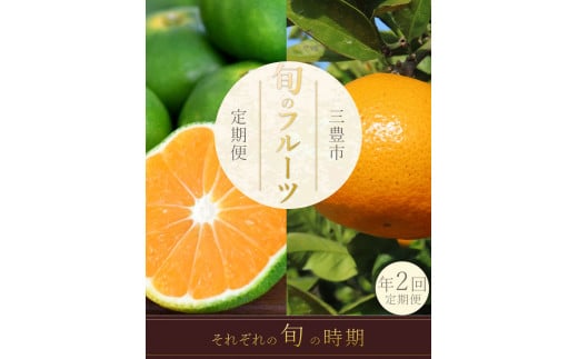 M160-0025_フルーツ定期便 2回 三豊市 極早生みかん2.5kg 晩生みかん2.5kg【配送不可地域：北海道・沖縄県・離島】