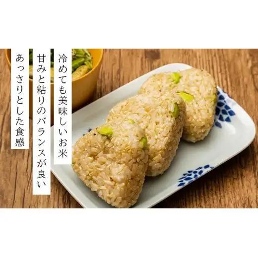 令和7年産！ファーム坂口の特別栽培米 ななつぼし玄米 30kg (30kg×1袋)
