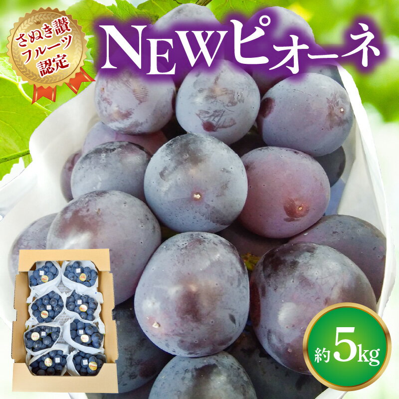 【ふるさと納税】ピオーネ 種無し 2026年 先行予約 NEWピオーネ 約5kg [ 大粒 種なし 高級 ぶどう 葡萄 ブドウ 甘い ジューシー フルーツ 果物 人気 おすすめ ランキング 贈答用 ギフト お取り寄せ 国産 新鮮 旬 産地直送 送料無料 香川県 三豊市 返礼品 造田商店 ]