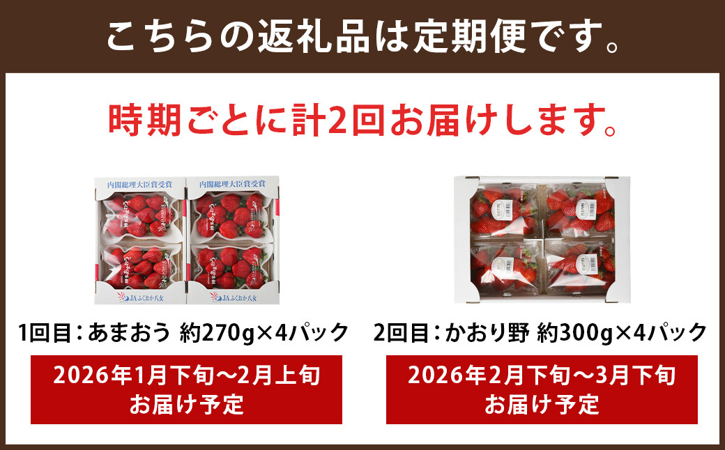 【全2回定期便】数量限定フルーツ定期便 いちご2品種 食べ比べ(あまおう・かおり野)