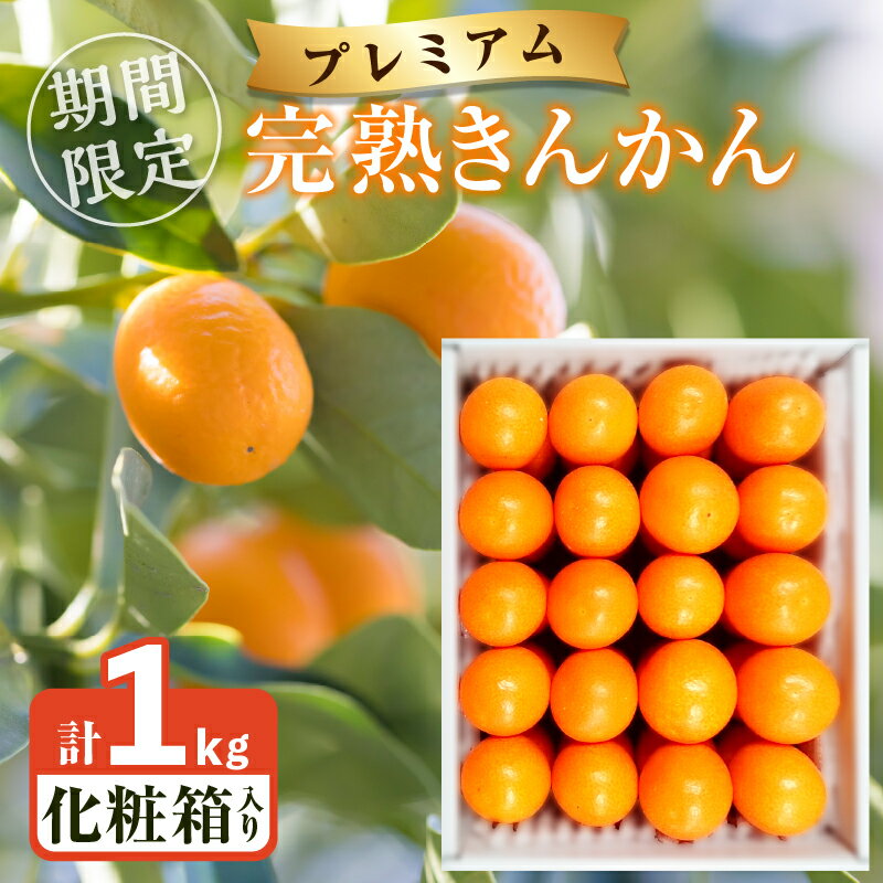 【ふるさと納税】 先行予約 数量限定 完熟きんかん プレミアム 計1kg 化粧箱入り フルーツ 果物 くだもの 金柑 柑橘 国産 期間限定 2025年 デザート おやつ 贈り物 ギフト プレゼント 手土産 ご褒美 高糖度 ジャム 甘露煮 サラダ おすそ分け 産地直送 宮崎県 都農町 送料無料