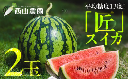 匠スイカ 先行予約 2玉 スイカ すいか 西瓜 夏 旬 匠 瓜フルーツ 果物 くだもの ギフト 田原市 渥美半島 ブランド甘い スイーツ スイカ