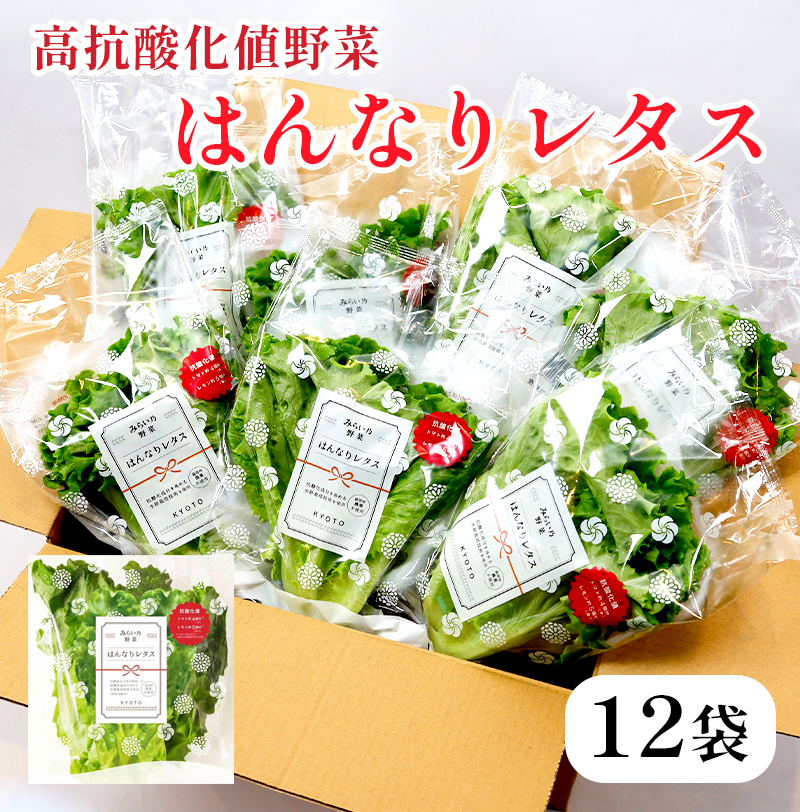 みらい乃野菜 はんなりレタス 12袋 720g レタス 袋入 水耕栽培 野菜 れたす 葉物 サラダ 高抗酸化値 低硝酸態窒素 小分け 小袋 そのまま 食べれる 健康 身体にやさしい お試し 贈答 熨斗 野菜