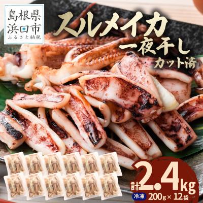 ふるさと納税 浜田市 島根県産浜田市加工　食べ応え大満足のスルメイカ一夜干し(2.4kg)【小分け個包装】