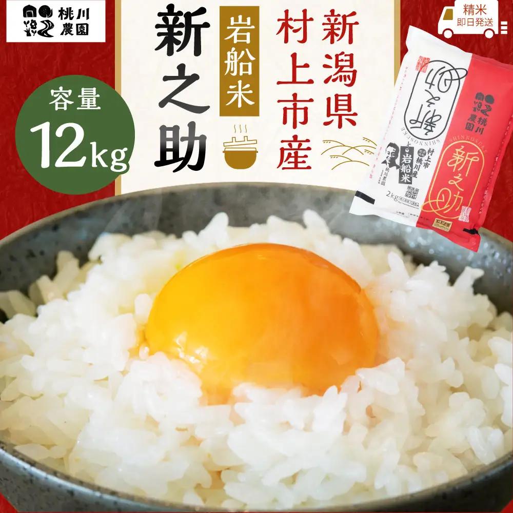 【新米受付・令和8年産米】 新潟県村上市産 特別栽培米新之助12kg NB4073