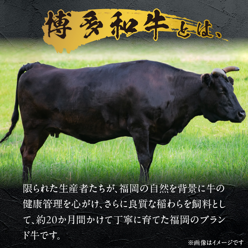 博多和牛ローストビーフ_博多和牛ローストビーフ_Ax036