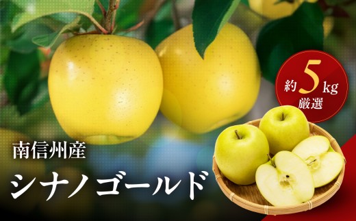 南信州産 りんご シナノゴールド 約5kg 【2026年10月中旬～11月上旬発送】 | りんご リンゴ 林檎 シナノゴールド 果物 くだもの フルーツ 新鮮 長野県 信州 南信州 飯田