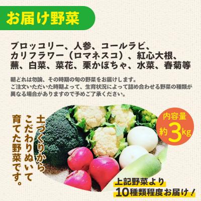 ふるさと納税 香南市 野菜セット まさに旬 ほっこり温野菜セット sy-0006 |  | 01