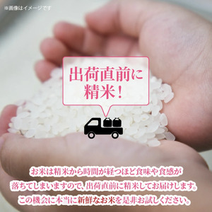 2462R_【先行予約・令和7年産新米】農家直送! 徳丸農園のお米6kg (なつほのか / にこまる各3kg)