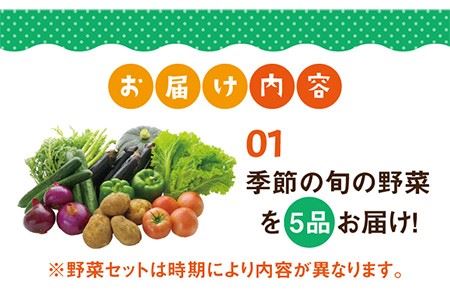 壱岐産米 旬の野菜 セット つや姫5kg 旬の野菜5品《壱岐市》【壱岐市農業協同組合】[JBO003] 12000 12000円 新鮮 やさい 野菜 ベジタブル 食材 詰合せ お米 おこめ ごはん ご