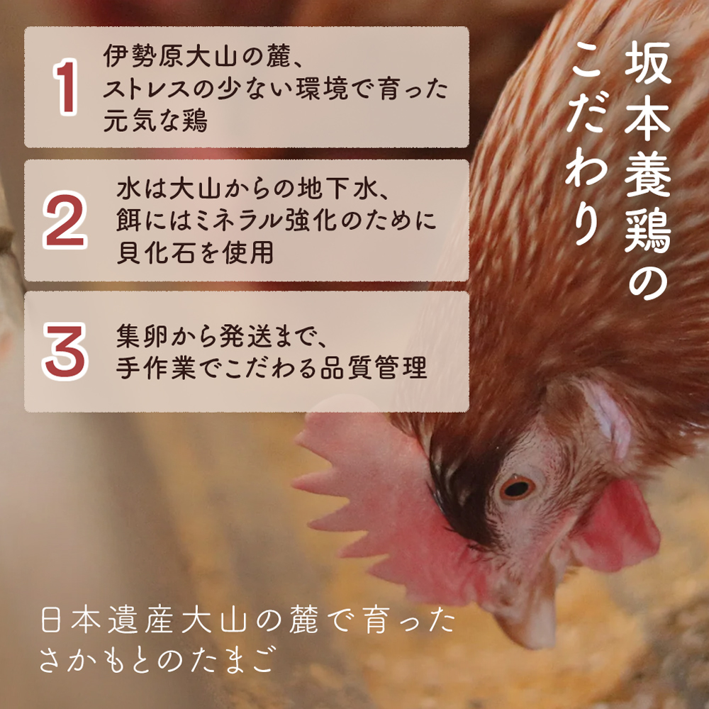 [定期便／1ヶ月×月3回] さかもとのたまご 40個 (36個＋割れ保証4個) 合計120個｜坂本養鶏 大山の麓で育ったさかもとのたまご 赤玉卵 玉子 鶏卵 伊勢原市 赤玉卵 玉子 生卵 国産 TKG