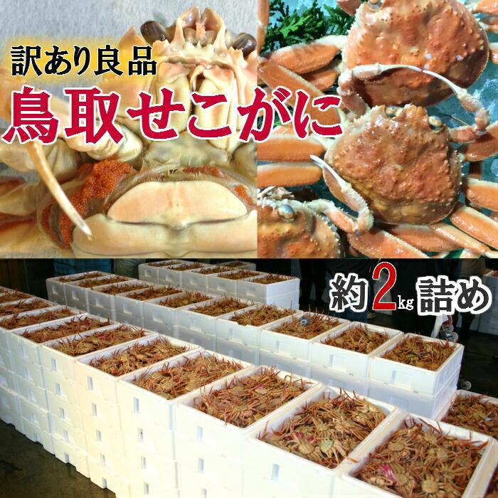 【ふるさと納税】【選べます！活またはボイル】鳥取県産 セコガニ 訳あり 良品 2kg※2025年11月上旬～12月下旬頃に順次発送予定◇ | 蟹 かに せこがに せこ蟹 訳あり 家庭用 鳥取県産 北栄町 おすすめ 人気