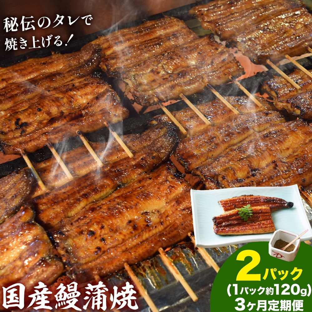 
                  【3ヶ月定期便】鰻 国産鰻蒲焼 2パック 約 120g ×2 有限会社安井家《申込月の翌月より出荷》千葉県 我孫子市  鰻 うなぎ 蒲焼 丑の日 蒲焼き 冷蔵 タレ 山椒【配送不可地域あり】(離島)
                
