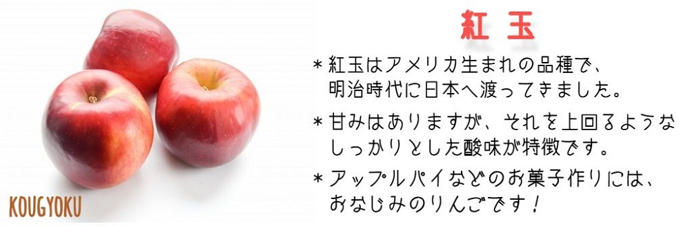 りんご 紅玉 特選 4.5kg やまじゅうファーム 沖縄県への配送不可 2025年10月上旬頃から2025年10月中旬頃まで順次発送予定 令和7年度収穫分 信州の環境にやさしい農産物 減農薬栽培 長野