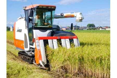 令和7年産 特選米 コシヒカリ玄米 5kg MK8