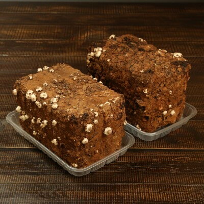 【ふるさと納税】育てて楽しい!あらかわ生しいたけ菌床ホダ木 2セット【1442536】