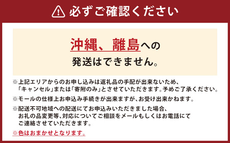 松尾園芸 シクラメン （大鉢6号サイズ）【なくなり次第終了】【2025年12月発送予定】