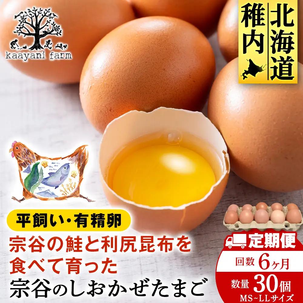 【6カ月定期便】宗谷のしおかぜたまご30個入