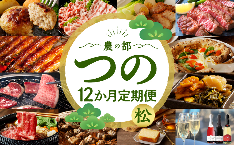 ≪12か月お楽しみ定期便≫都農町定期便(松) _T999-0102【肉 加工品 デザート 国産 人気 ギフト 食品 自家製 簡単調理 贈り物 お土産 送料無料 プレゼント】