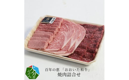 百年の恵 「おおいた和牛」 焼肉詰合せ約990g 牛肉 おおいた和牛 焼肉 詰め合わせ 豊後牛 ロース モモ カルビ 赤身 霜降り A01064