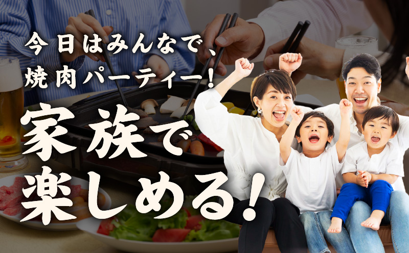 牛肉 ハラミ 900g 小分け 300g×3P【氷温熟成×特製ダレ 味付き 牛肉 訳あり 不揃い 焼肉 BBQ 野菜炒め 圧倒的企業努力】