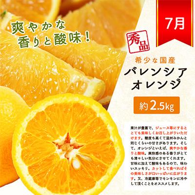 ふるさと納税 日高町 【発送月固定定期便】紀州和歌山産旬の柑橘セット(みかん・なつみ・バレンシア)全3回 |  | 03