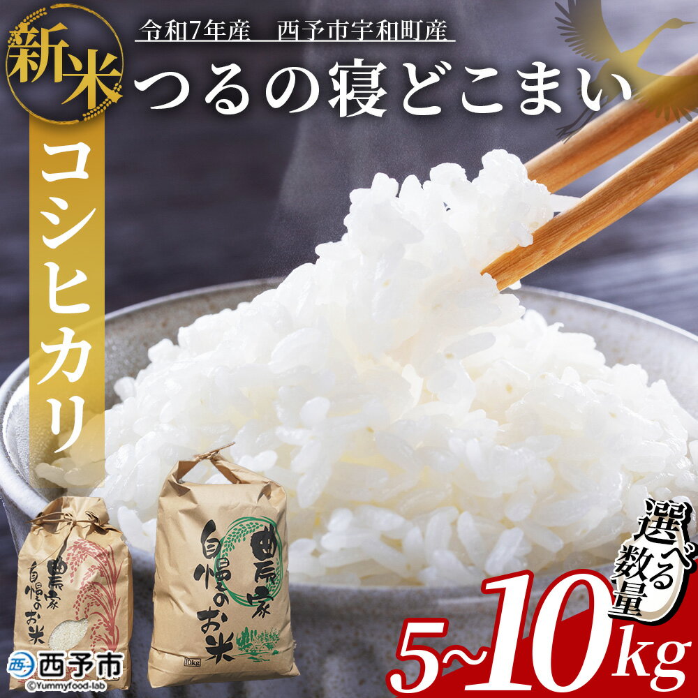 【ふるさと納税】【先行予約】新米 ＜令和7年産 コシヒカリ「つるの寝どこまい」約5kg/10kg 西予市宇和町産＞ 2025年産 こしひかり お米 コメ こめ 白米 精米 ご飯 ごはん 穀物 ライス SDGs 共生 楠 健明 愛媛県 西予市【常温】『2025年9月頃から順次出荷予定』