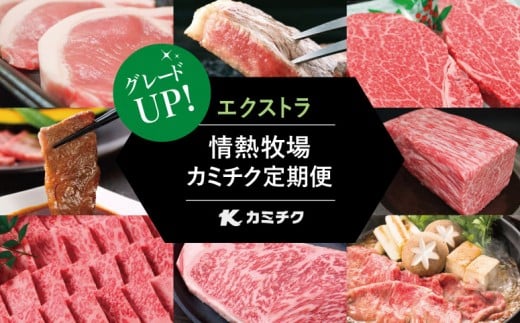 
【定期便 全12回】情熱牧場 鹿児島県産お肉の定期便 プレミアムコース 定期配送 お肉 ステーキ すき焼き しゃぶしゃぶ A5等級 ブランド 黒毛和牛 牛肉 豚肉 焼肉 定期便 冷凍 カミチク 南さつま市
