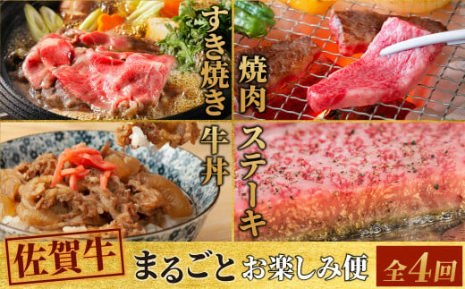 
【4回定期便】 佐賀牛 まるごと欲張り お楽しみ便（合計3kg）(H085146)
